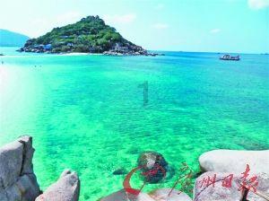 水坑里捞出40多瓶茅台，打捞人员：男子扔赃后拍视频发网上被抓